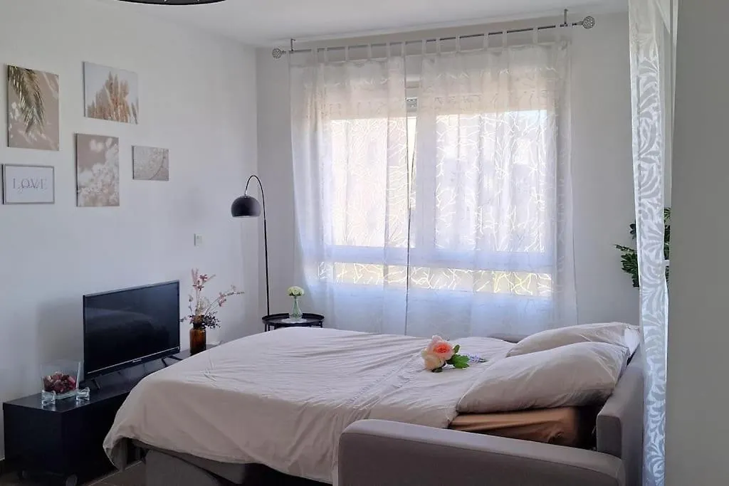 Perle Centre-Ville, T2 Tout Confort Avec Balcon Saint-Priest  Apartment